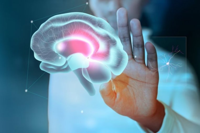 دورة البرمجة اللغوية العصبية-NLP