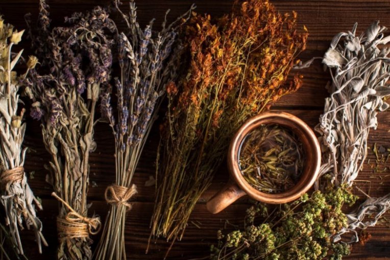 دورة الطب الشمولي