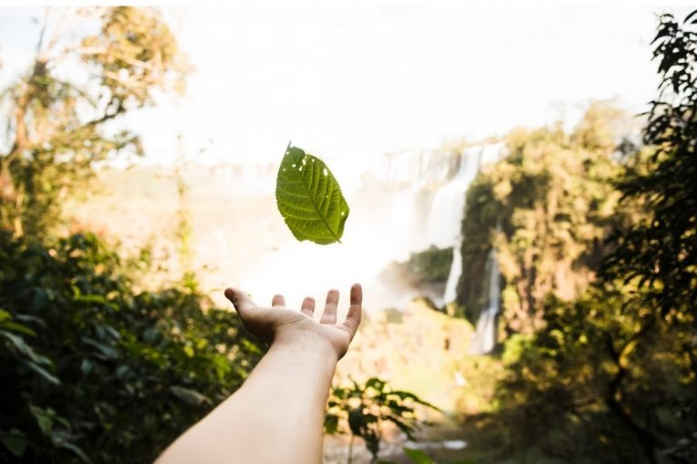 دراسات مهندس تطبيقي متخصص في جودة البيئة