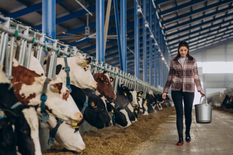 دراسات مهندس تطبيقي زراعي متخصص في الثروة الحيوانية